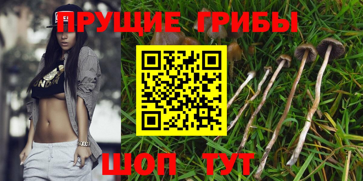 Псилоцибиновые грибы GOLDEN TEACHER Новоуральск