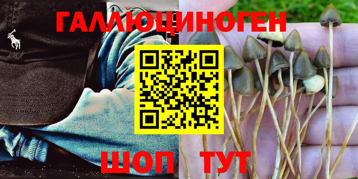 Новоуральск  Псилоцибиновые грибы мицелий  Вход с VPN  Галлюциногенные грибы MAGIC MUSHROOMS 